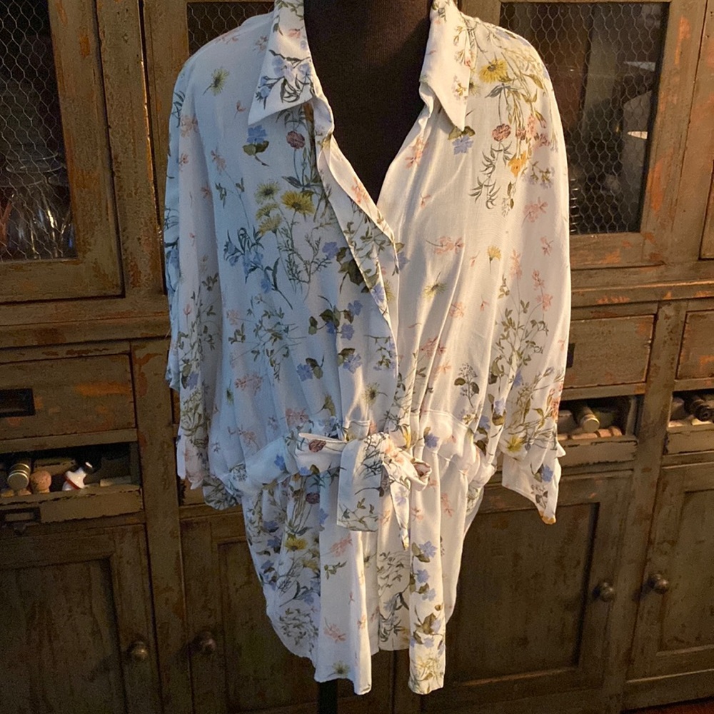 Beautiful Zara blouse